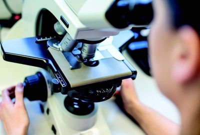 Research Center Borstel microscope